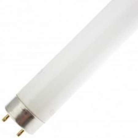 ILC Replacement For LIGHT BULB  LAMP, FO32T8PROMOLUX FO32T8/PROMOLUX